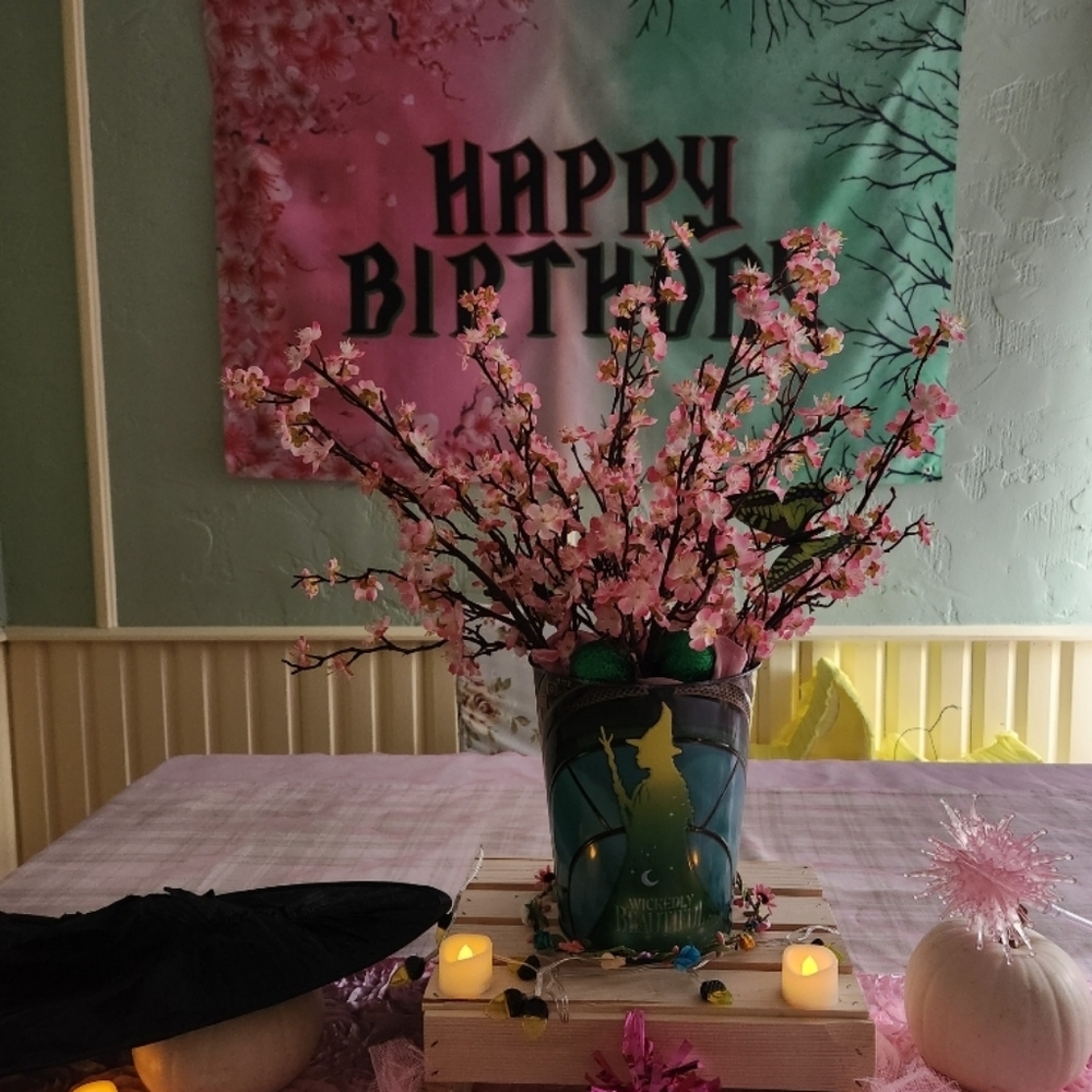 Happy Birthday Cloth Banner Pink and Green Wicked Themed Party EUC